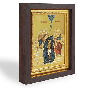 Икона Крещения Господня (Богоявления), в узком багете, цвет "темный дуб", на холсте, с золочением (21,7х27,9 см (под икону А5))