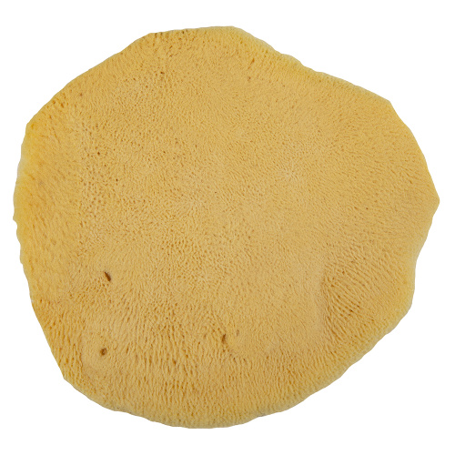 Антиминсная губка натуральная "Патериос", 11,5-12,5 см фото 7