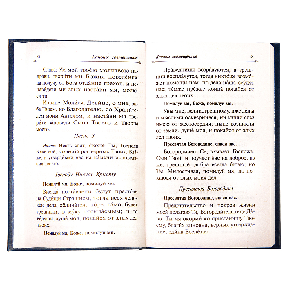 Купить молитвослов православный и псалтирь. целебник. русский шрифт