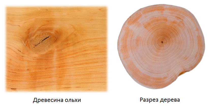 olcha-srez.png olcha-srez.png