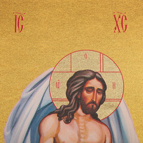 Плащаница Спасителя, бархат, жесткая основа (без свесов), 76х36 см, У 3-4110 фото 4