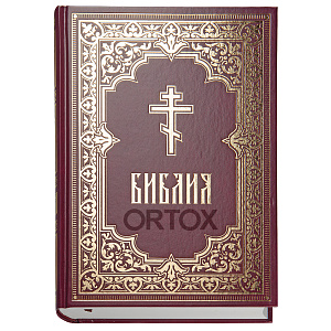 Библия (с гравюрами Гюстава Доре и Юлиуса Карольсфельда) (бордовая обложка)