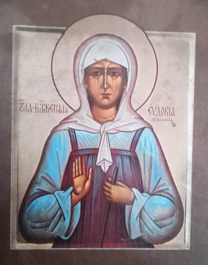 Блаженная Евдокия Суздальская, Христа ради юродивая