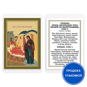 Икона Божией Матери "Целительница" с тропарем, ламинированная, 6х8 см (упаковка 10 шт.) (картон)
