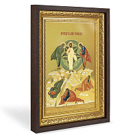 Икона Преображения Господня, в широком багете, цвет "темный дуб", на холсте, с золочением