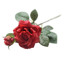 Ветка розы, 1 бутон и 1 голова, цвета в ассортименте