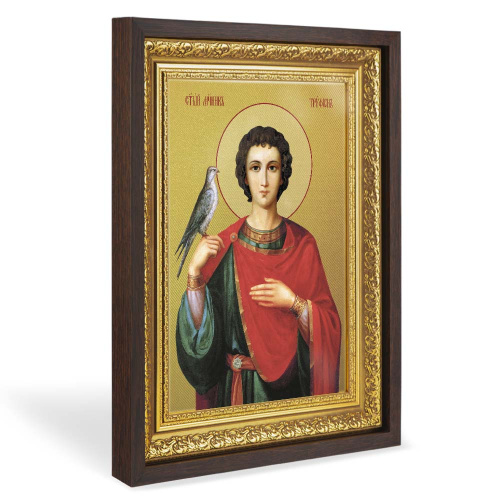 Икона мученика Трифона Апамейского, Никейского, в широком багете, цвет "темный дуб", на холсте, с золочением №2