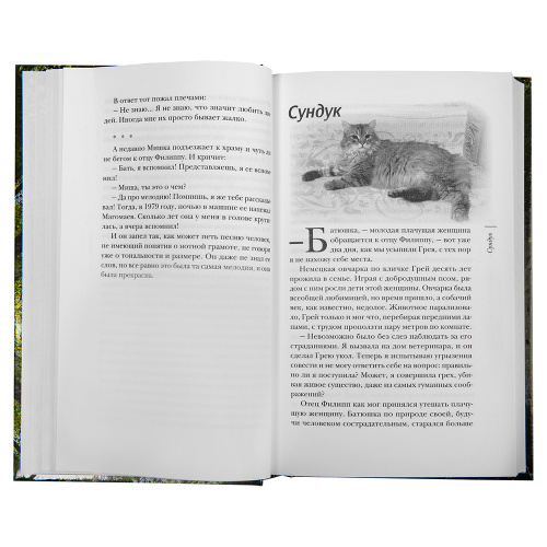 Милосердия двери и другие рассказы. Священник Александр Дьяченко фото 3