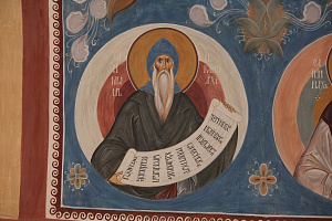Преподобный Симон Троицкий, экклесиарх