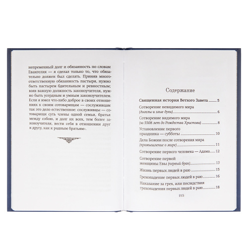 Краткое изложение Ветхого Завета. Священник Иоанн Бухарев фото 5