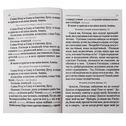Псалтирь святого пророка и царя Давида. Крупным шрифтом. фото 3