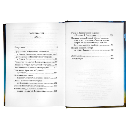 Земная жизнь Пресвятой Богородицы фото 3