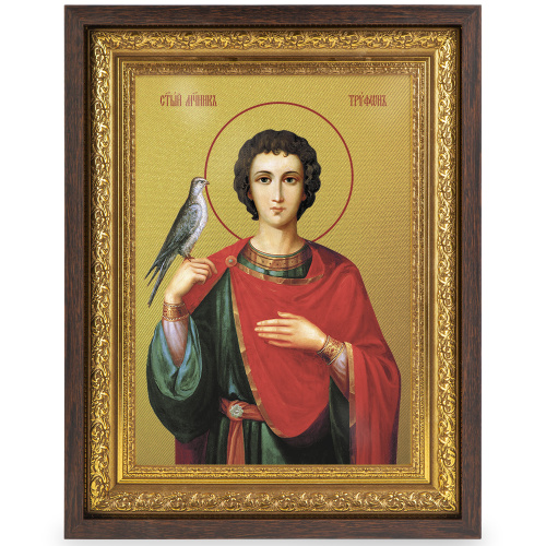 Икона мученика Трифона Апамейского, Никейского, в широком багете, цвет "темный дуб", на холсте, с золочением №2 фото 2