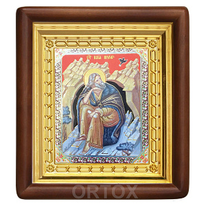 Икона пророка Илии, 18х20 см, деревянный киот (светлый киот)