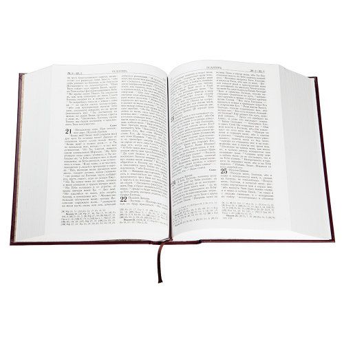 Библия (с гравюрами Гюстава Доре и Юлиуса Карольсфельда) фото 5