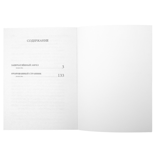 Запечатленный Ангел. Очарованный странник. Николай Лесков фото 3